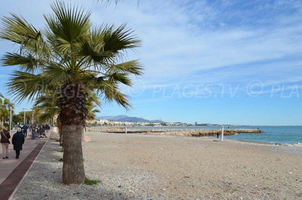 Grand Studio Tres Agreable Avec Bar, Cuisine Et Terrasse Cagnes-sur-Mer Exterior photo